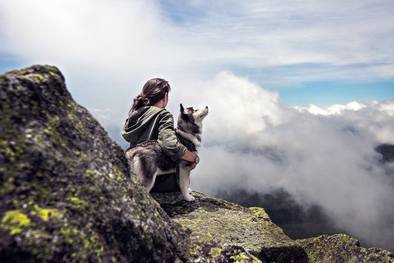 Tips for Training Your Dog to Tolerate Grooming